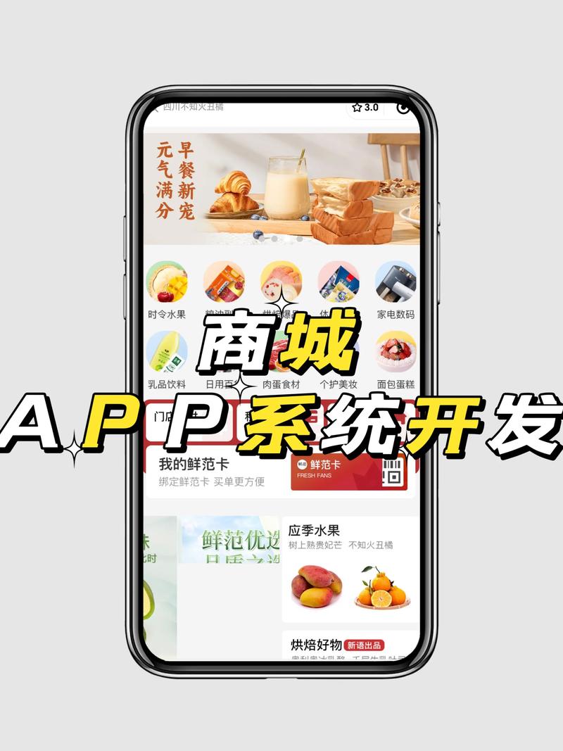 北京电商平台开发：构建未来商业生态的力量